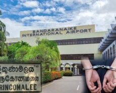 கனடாவில் இருந்து வந்த யுவதி கட்டுநாயக்காவில் கைது! அதிர்ந்த அதிகாரிகள்