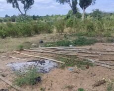 மயிலத்தமடு – தரைகள் சேதமாக்கப்படும் முறைப்பாடுகள் ஏற்கப்படவில்லை – பண்ணையாளர்கள் குற்றச்சாட்டு