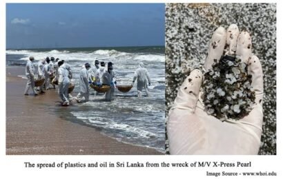 இலங்கைக் கரையோரங்களில் ஒதுங்கிய பிளாஸ்டிக் துகள்களில் 43 கண்டெய்னர் பிளாஸ்டிக் துகள்கள் ! இலங்கைக் கரையோரங்களில் ஒதுங்கிய பிளாஸ்டிக் துகள்களில் 43 கண்டெய்னர் பிளாஸ்டிக் துகள்கள் !