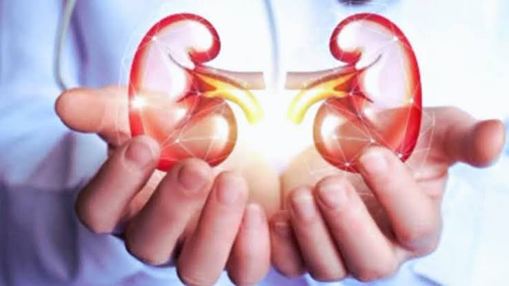 தமிழகத்தை உலுக்கிய கிட்னி திருட்டு வழக்கு: விசாரணையைத் தீவிரப்படுத்திய தவெக அரசு!