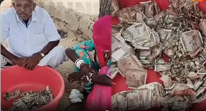 ஐந்து இலட்சத்தை காலி செய்த கரையான் – வேதனையில் விவசாயி கண்ணீர்….!