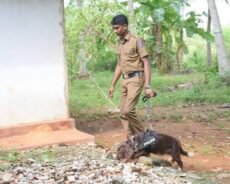 வைத்தியர் திடீர் மாயம் பொலிஸார் தீவிர தேடுதல்