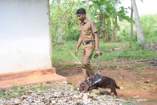 வைத்தியர் திடீர் மாயம் பொலிஸார் தீவிர தேடுதல் வைத்தியர் திடீர் மாயம் பொலிஸார் தீவிர தேடுதல்
