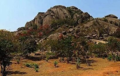 350 கோடி ஆண்டுகள் பழமையான உயிரினங்களின் பாறைகளில் நுண்ணுயிரிகளின் எச்சங்கள் கண்டுபிடிப்பு!
