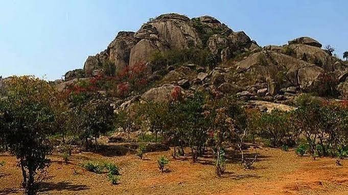 350 கோடி ஆண்டுகள் பழமையான உயிரினங்களின் பாறைகளில் நுண்ணுயிரிகளின் எச்சங்கள் கண்டுபிடிப்பு!