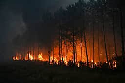 பிரான்ஸில் திட்டமிட்டு காட்டுத்தீ ஏற்படுத்திய 474 பேர் கைது பிரான்ஸில் திட்டமிட்டு காட்டுத்தீ ஏற்படுத்திய 474 பேர் கைது