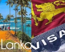 இலங்கைசுற்றுலா விசாவில் வேலை! 94 வெளிநாட்டவர்களுக்கு 7 மில்லியன் ரூபா அபராதம்