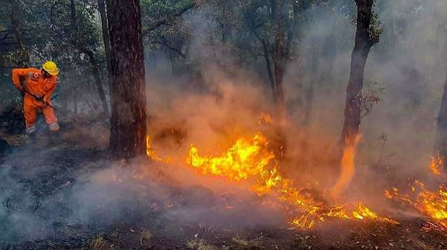 யாழ்ல் காட்டுத்தீ: உலங்குவானூர்தி மூலம் தீயணைப்பு நடவடிக்கை யாழ்ல் காட்டுத்தீ: உலங்குவானூர்தி மூலம் தீயணைப்பு நடவடிக்கை