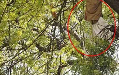 விகாரை மரத்தில் தொங்கிய வெளி நாட்டவரின் சடலம் ?வவுனியாவில் மரத்தில் இருந்து வீழ்ந்து