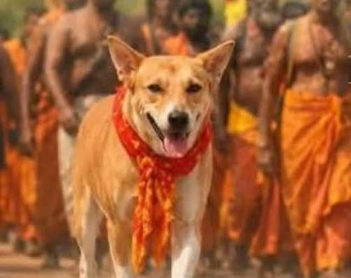 விலங்குகளுக்கு நீதி-தமிழர்களுக்கு-நீதி, மதவிதி ? நிலாந்தன் விலங்குகளுக்கு நீதி-தமிழர்களுக்கு-நீதி, மதவிதி ? நிலாந்தன்