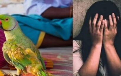 ஜோசியர் சிறையில் அடைப்பு நிர்வாண பூஜை நடத்தி பாலியல்வலை விரித்த ஜோசியர்