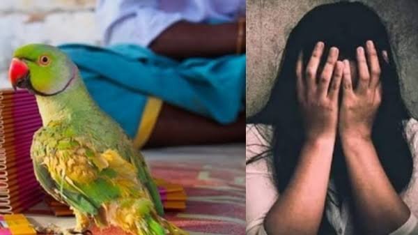ஜோசியர் சிறையில் அடைப்பு நிர்வாண பூஜை நடத்தி பாலியல்வலை விரித்த ஜோசியர் ஜோசியர் சிறையில் அடைப்பு நிர்வாண பூஜை நடத்தி பாலியல்வலை விரித்த ஜோசியர்
