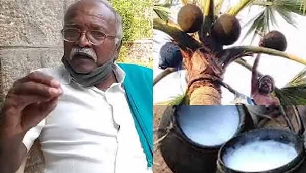 கள்ளுக்கு தமிழ அரசு விளக்கம்-தமிழகத்தில் கள்ளுக்கு தடை ஏன்? –