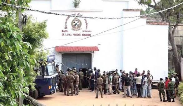 சிறைச்சாலையில் மோசடி செய்த எவரையும் காணவில்லை! சமிந்த விஜேசிறி சிறைச்சாலையில் மோசடி செய்த எவரையும் காணவில்லை! சமிந்த விஜேசிறி