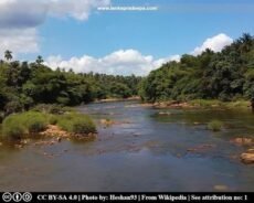 மா ஓயா ஆற்றில் குளித்து கொண்டிருந்த போதுநீரில் மூழ்கிய 3 இளம் பெண்கள் உட்பட 4 பேர் மாயம்